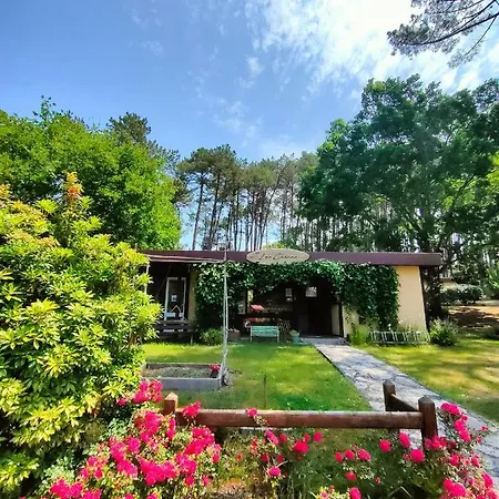 Vakantiepark Les Chenes De *