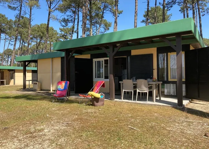 Les Chênes De Léon