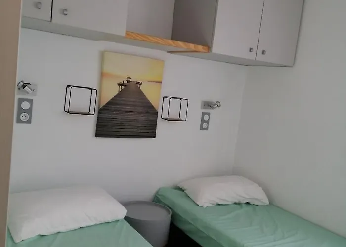 Les Chênes De * Léon