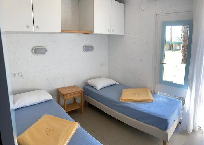 Les Chênes De Léon