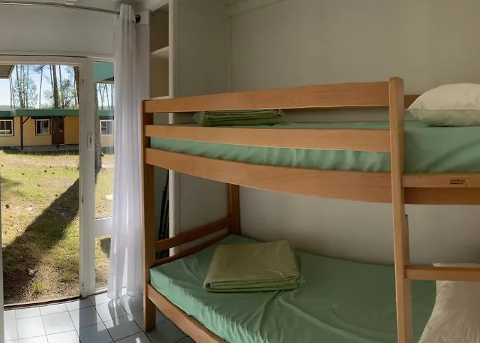 Les Chênes De * Léon