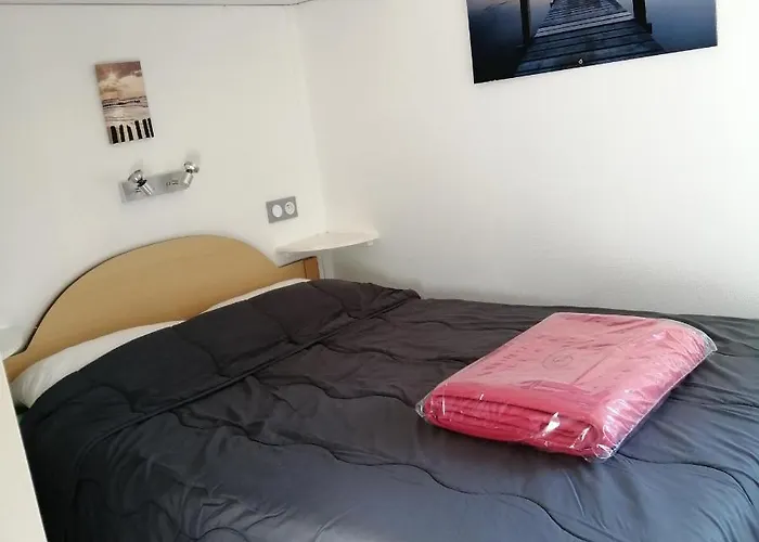 Les Chênes De Léon