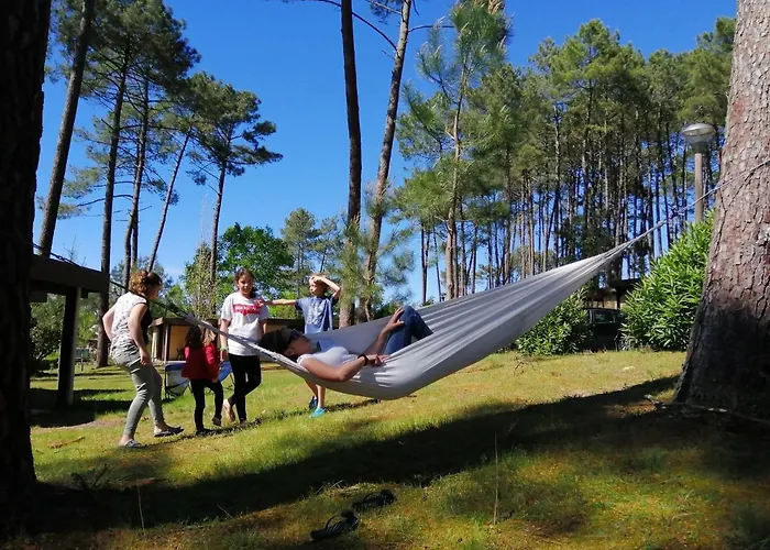 Les Chênes De Léon